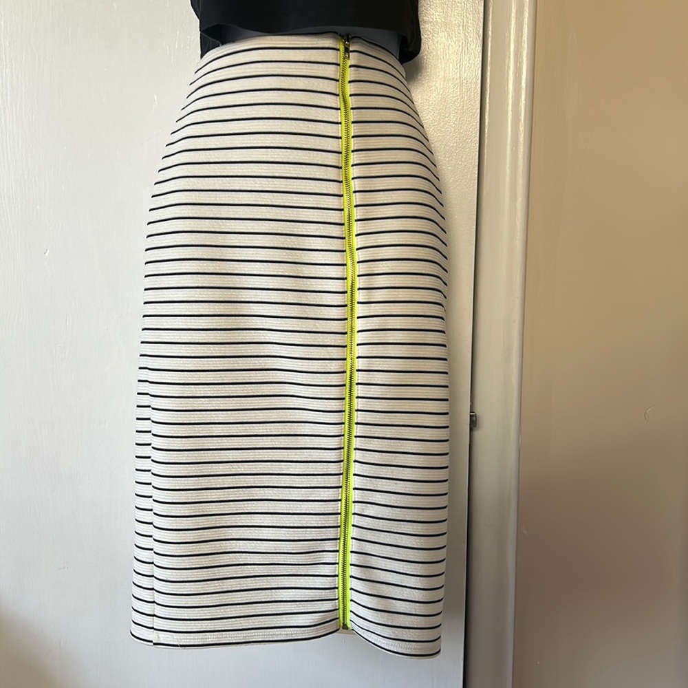 Striped Zip Pencil Skirt